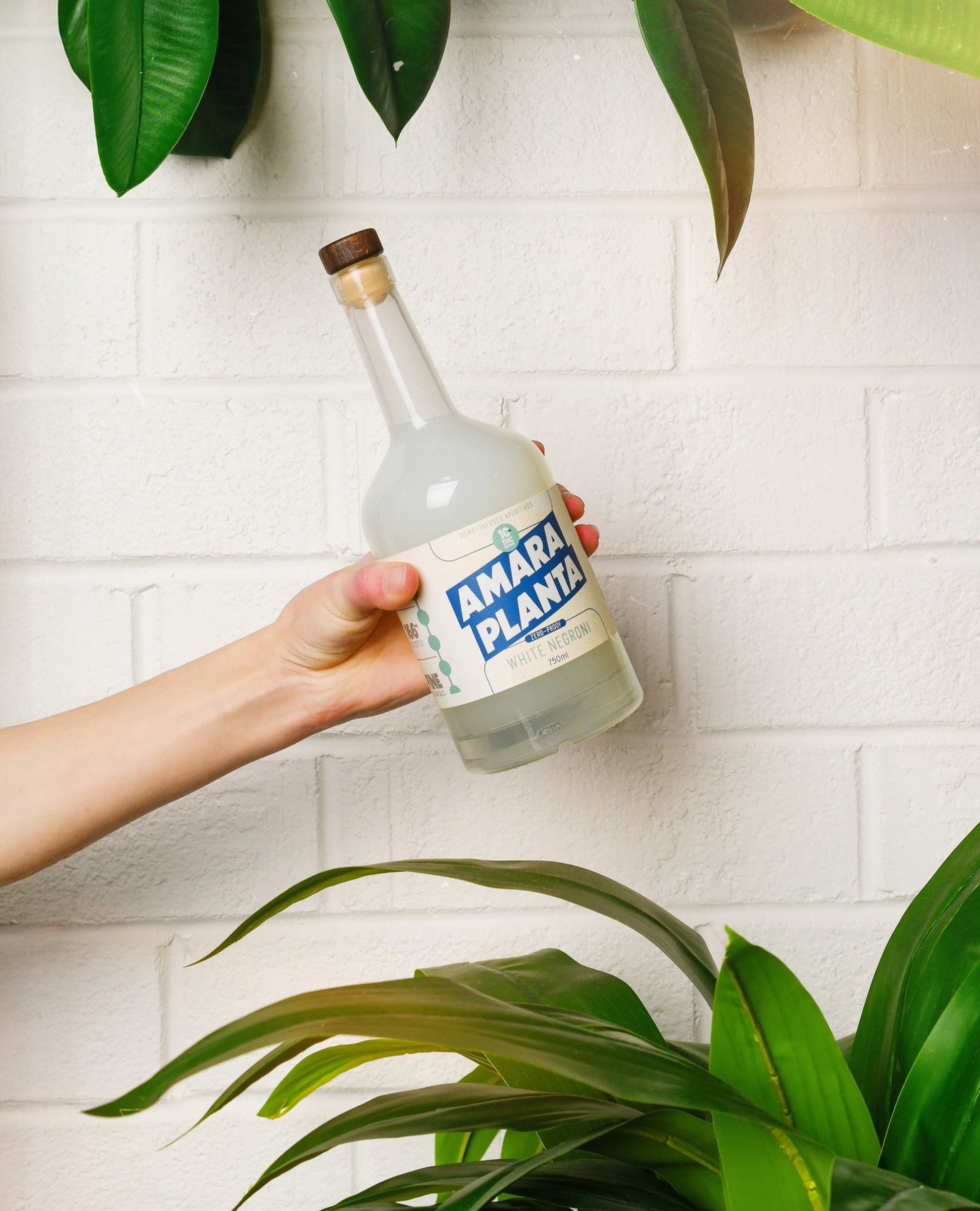 Botanical Aperitivo